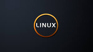 linux 虚拟主机