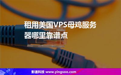 租用美国VPS母鸡服务器哪里靠谱点