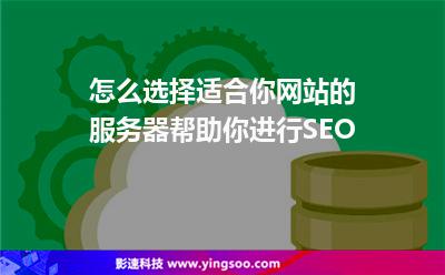 怎么选择适合你网站的服务器帮助你进行SEO