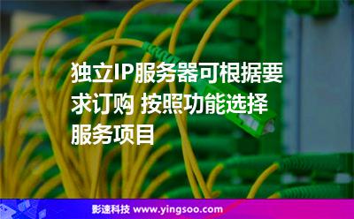 独立IP服务器可根据要求订购 按照功能选择服务项目