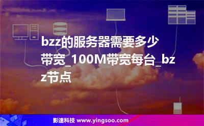 bzz的服务器需要多少带宽_100M带宽每台_bzz节点