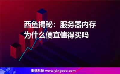 小编揭秘：服务器内存为什么便宜?值得买吗?