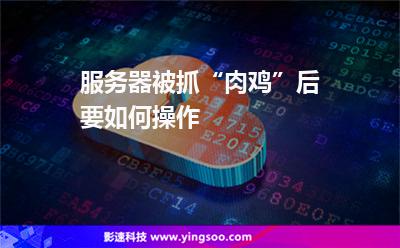 服务器被抓“肉鸡”后要如何操作