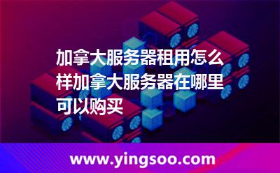加拿大服务器租用怎么样加拿大服务器在哪里可以购买