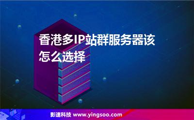 香港多IP站群服务器该怎么选择