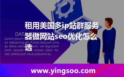 租用美国多ip站群服务器做网站seo优化怎么选