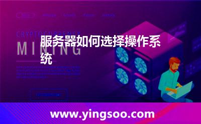 服务器如何选择操作系统