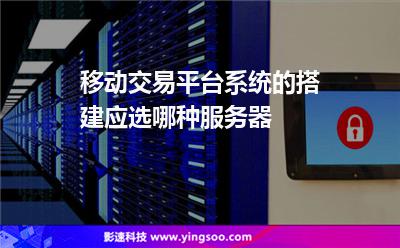 移动交易平台系统的搭建应选哪种服务器