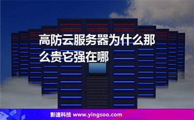高防云服务器为什么那么贵?它强在哪?