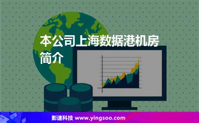 本公司上海数据港机房简介