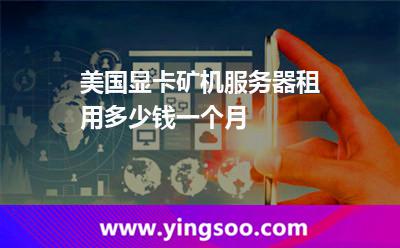 美国显卡矿机服务器租用多少钱一个月