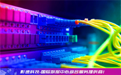 服务器的公司