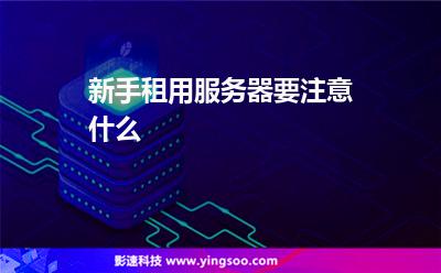 新手租用服务器要注意什么