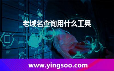 老域名查询用什么工具?