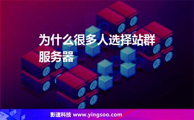 为什么很多人选择站群服务器