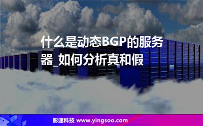 什么是动态BGP的服务器_如何分析真和假 