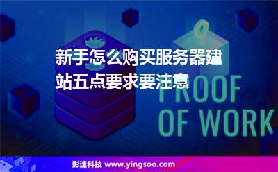 新手怎么购买服务器建站五点要求要注意
