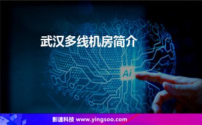 武汉多线机房简介
