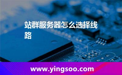 站群服务器怎么选择线路