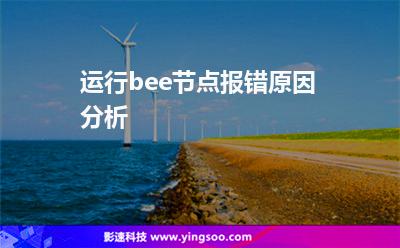 运行bee节点报错原因分析