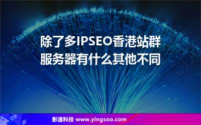 除了多IP，SEO香港站群服务器有什么其他不同