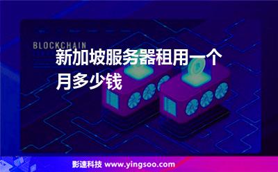新加坡服务器租用一个月多少钱