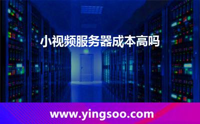 小视频服务器成本高吗