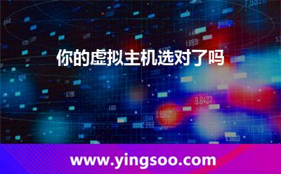 虚拟主机选择