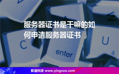服务器证书是干嘛的?如何申请服务器证书?