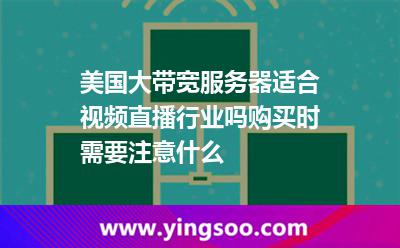 美国大带宽服务器适合视频直播行业吗购买时需要注意什么