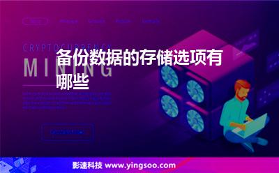 备份数据的存储选项有哪些