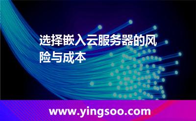选择嵌入云服务器的风险与成本