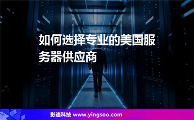 如何选择专业的美国服务器供应商
