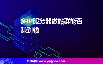 多IP服务器做站群能否赚到钱