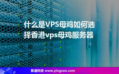 什么是VPS母鸡如何选择香港vps母鸡服务器