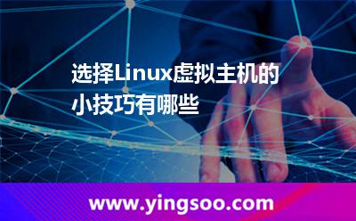 虚拟主机选择
