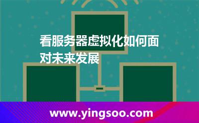 网络服务