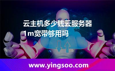 云主机多少钱云服务器1m宽带够用吗