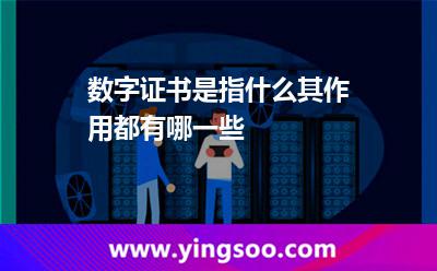 信息数字证书