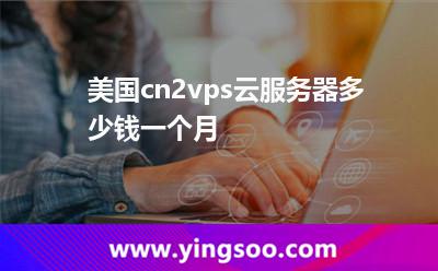 美国cn2vps云服务器多少钱一个月