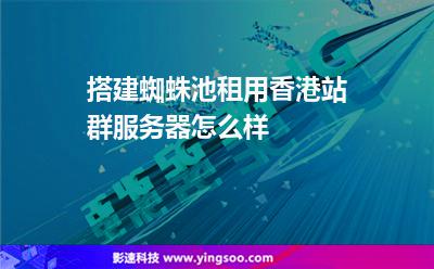 搭建蜘蛛池租用香港站群服务器怎么样