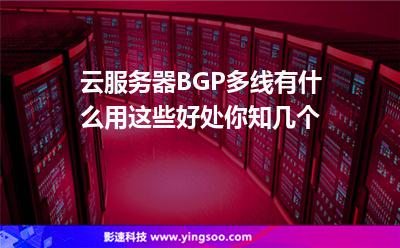 服务器互联网
