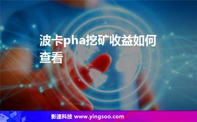 波卡pha挖矿收益如何查看