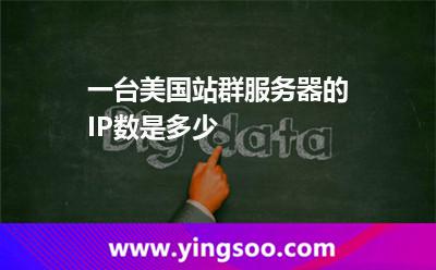 一台美国站群服务器的IP数是多少