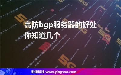 服务器搜索引擎：高防bgp服务器的好处你知道几个