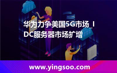 华为美国