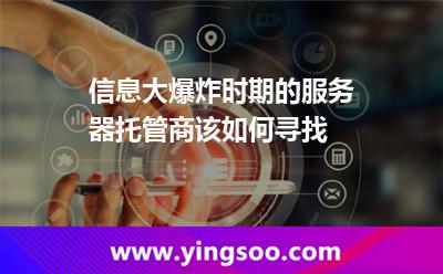 互联网选择