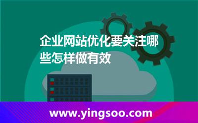 优化网站