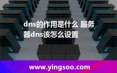 dns的作用是什么 服务器dns该怎么设置