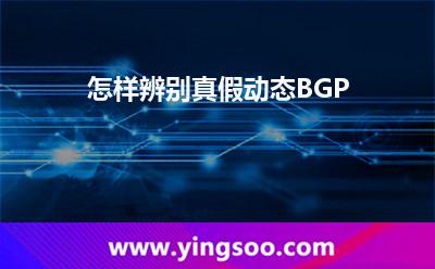 怎样辨别真假动态BGP